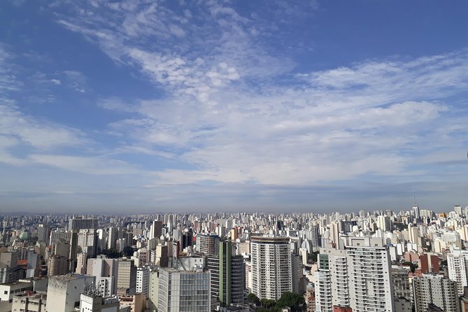 Sao Paulo: Downtown-Center History Walking Tour - in English - Getting your bearings in São Paulo’s Centro