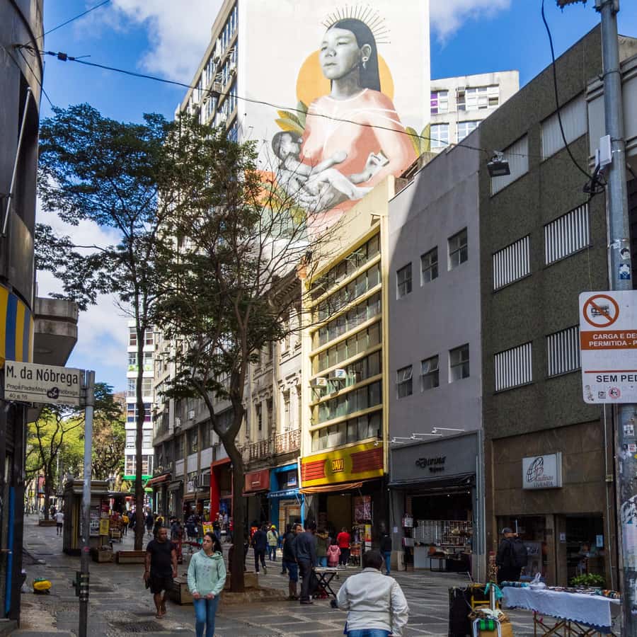 Sao Paulo: Downtown-Center Walking Tour | 2 Hours - English - The Big Lesson: Immigration and Change Written in Buildings
