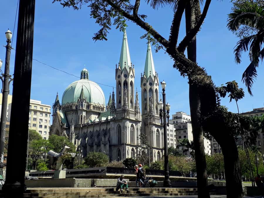 Sao Paulo: Downtown-Center Walking Tour | 2 Hours - English - Municipal Theatre and Paróquia São Francisco de Assis: Power, Art, and Faith