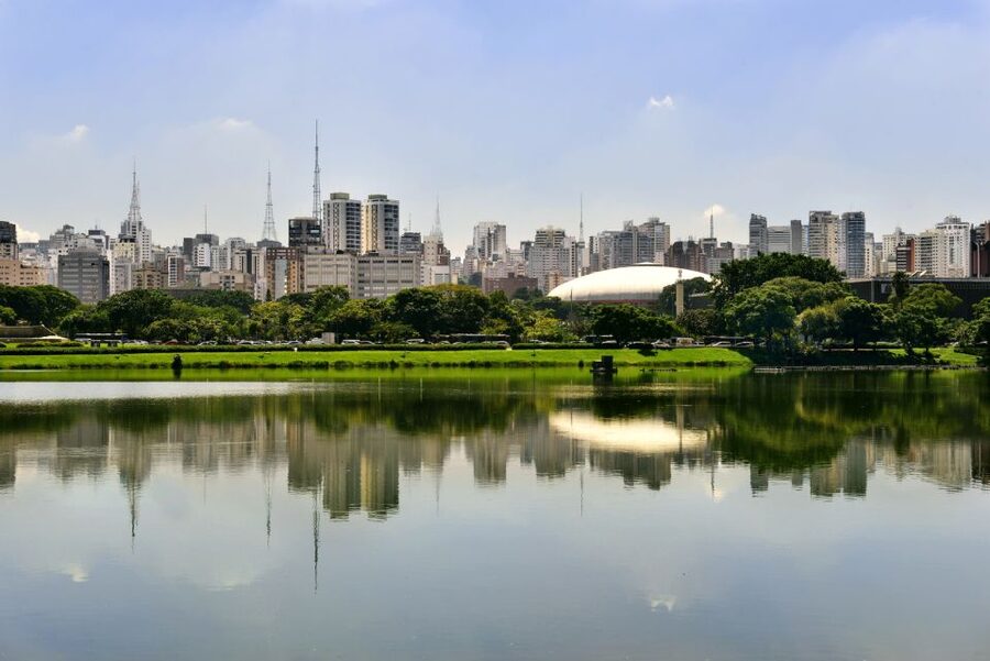 São Paulo: Full-Day Guided City Tour from the Port of Santos - From the Port of Santos to São Paulo in one guided day