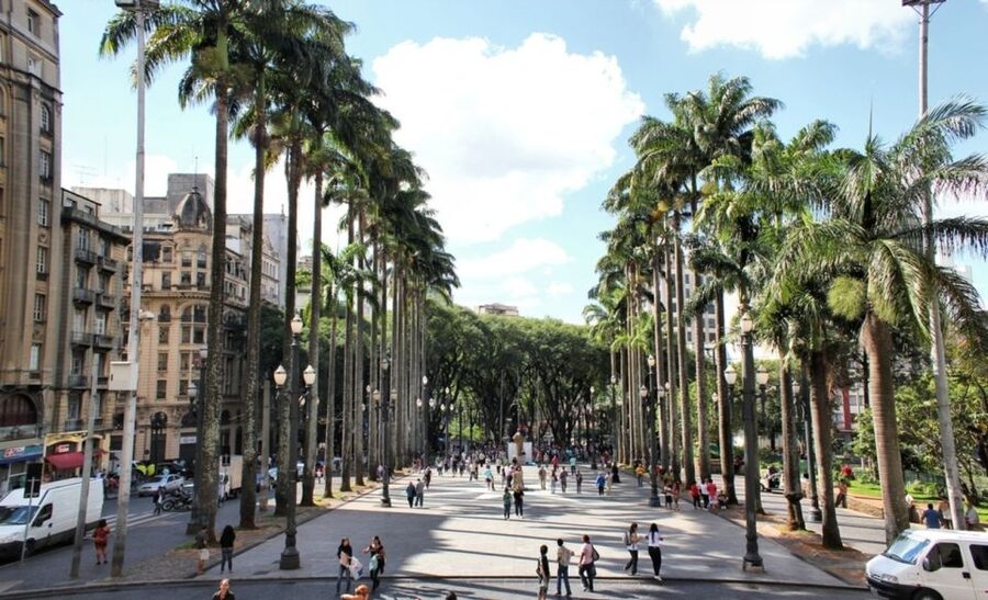 São Paulo: Full-Day Guided City Tour from the Port of Santos - Passing Paulista Avenue, the city’s work and money center