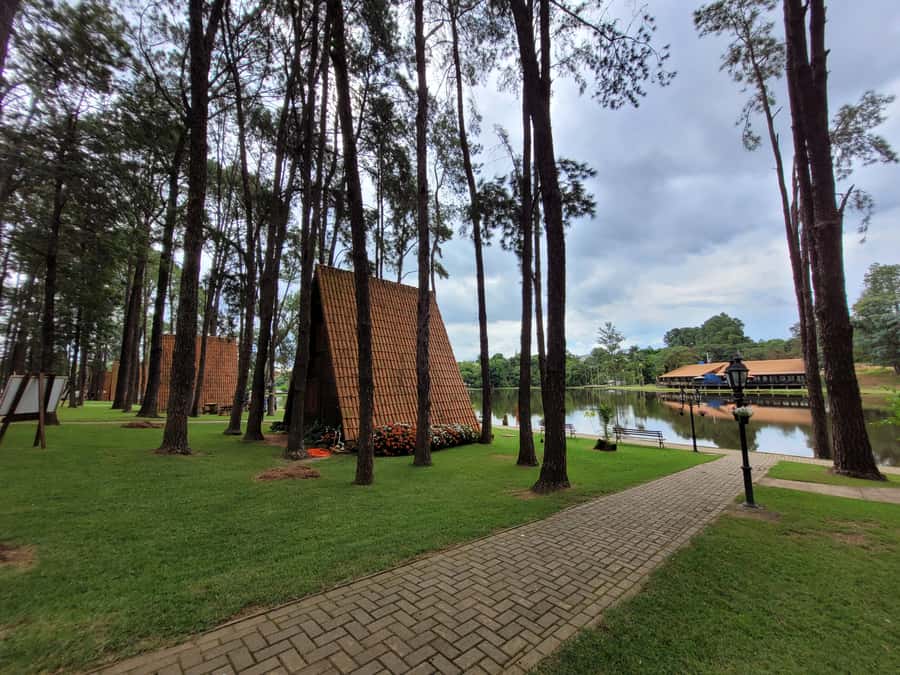 São Paulo: Holambra Colorful Flower Farm Guided Day Trip - Photo timing, pace, and what the farm guide makes clearer