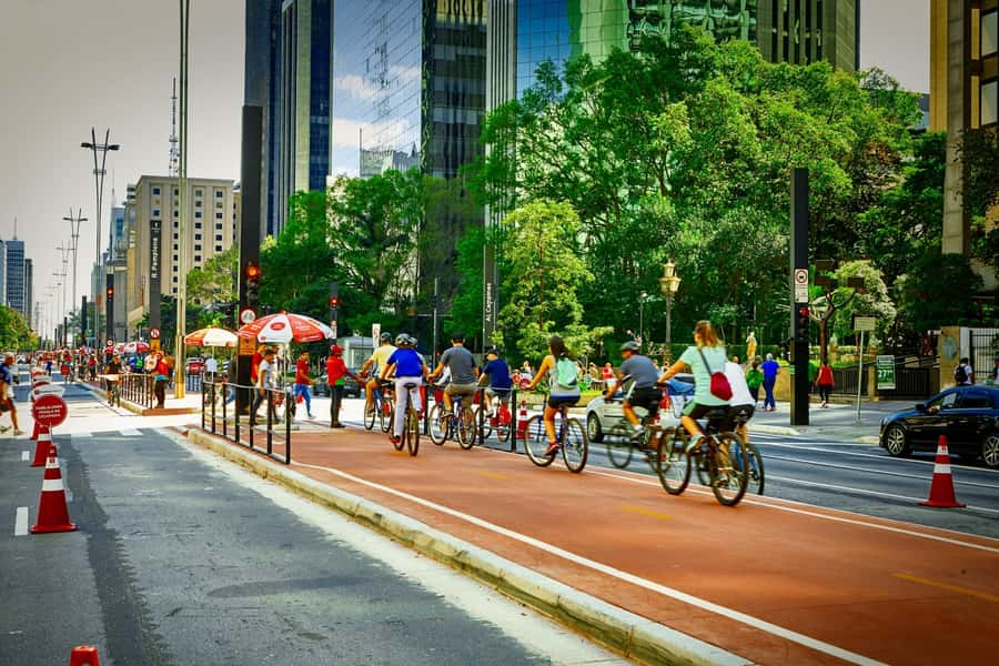 São Paulo: Layover Private Tour from GRU Airport - Key Highlights You Should Actually Care About
