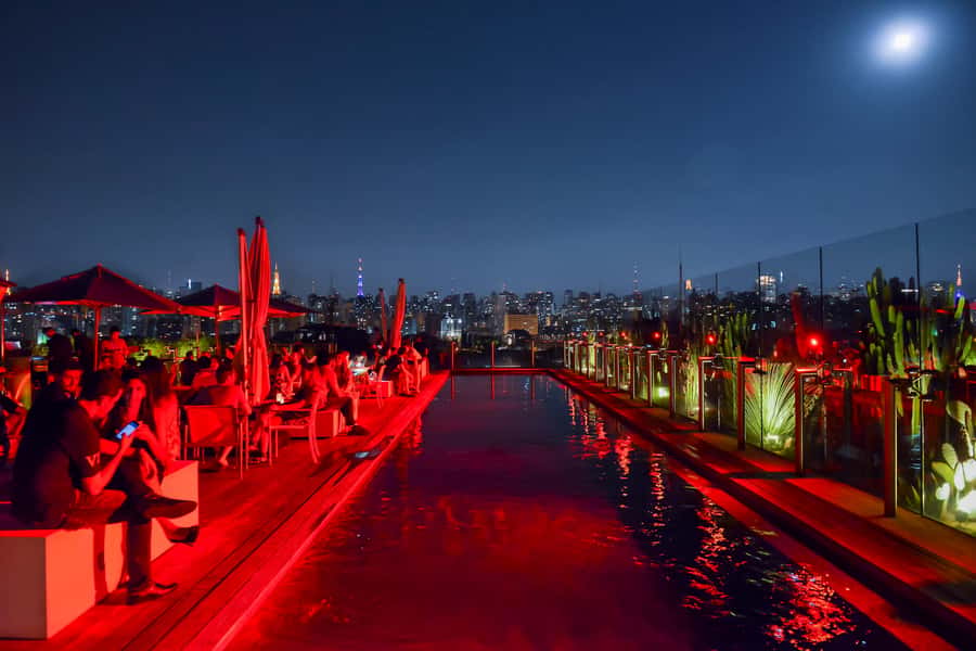 São Paulo: Private 4-Hour Night Tour - Vila Madalena After Dark: Art Streets and Low-Key Bars