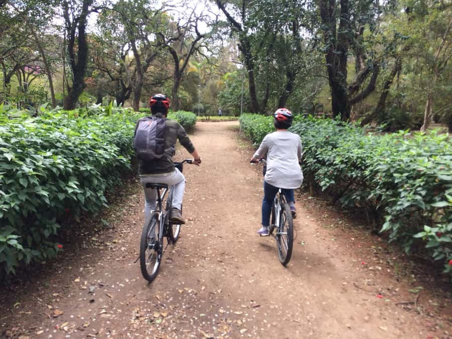 São Paulo: Street Art Bike Tour - Parque Trianon and MASP: a needed balance of green and modernist architecture