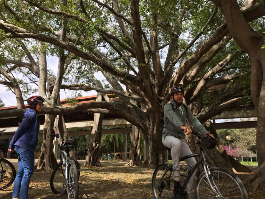 São Paulo: Street Art Bike Tour - Price and value: is $160 worth it for 3.5 hours?