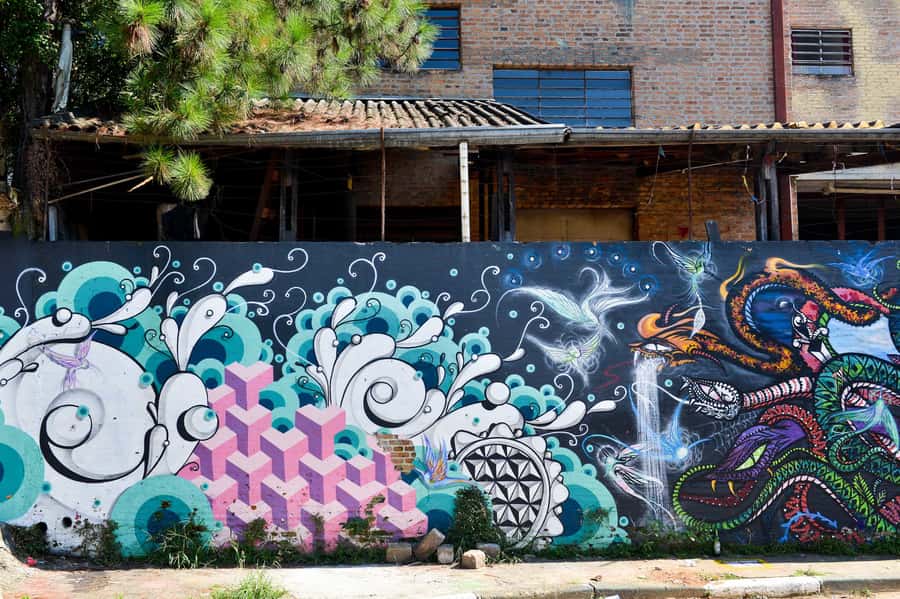 São Paulo Street Art Tour - The gallery finish: a calmer place to really look