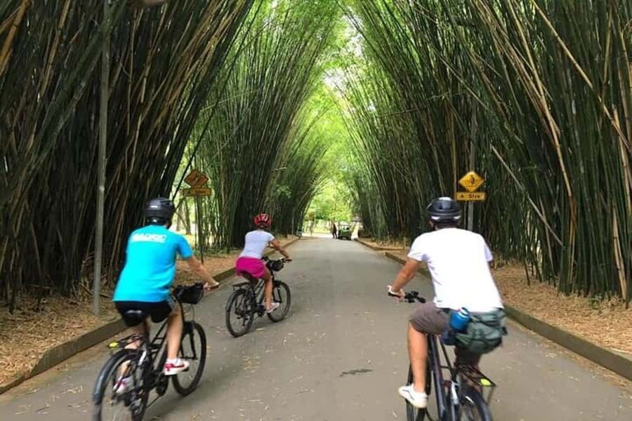 Sao Paulo: The Coolest Urban Scenes Bike Tour - Jardins to Vila Madalena: where elegance meets graffiti
