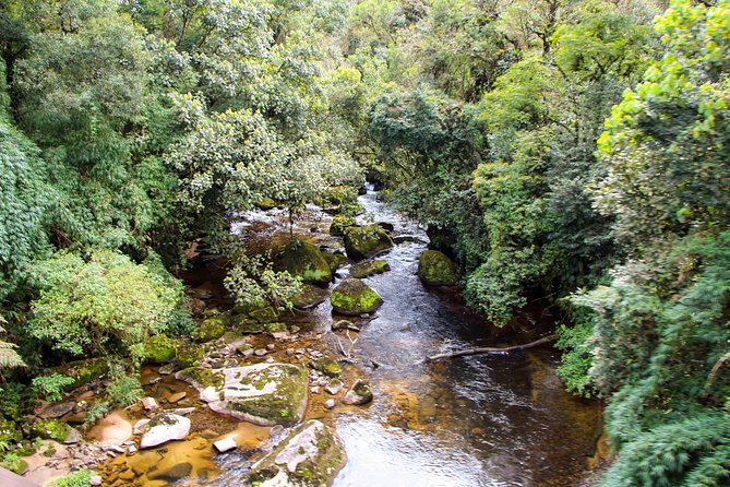 Scenic Train ride to historical cities of Morretes and Antonina - The Paranaguá-Curitiba train ride through Serra do Mar