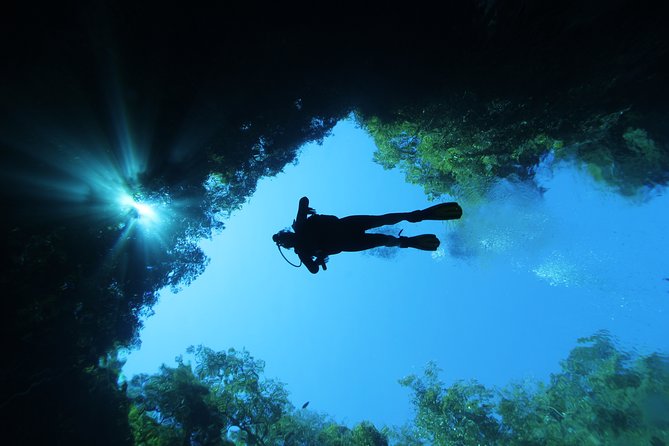 Skip the Line: Lagoa Misteriosa Admission Ticket with Scuba Diving Experience - Photo moments, fish, and the small annoyances that change the mood