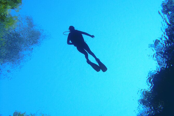 Skip the Line: Lagoa Misteriosa Admission Ticket with Scuba Diving Experience - From forest path to the lakeside: what your body should expect