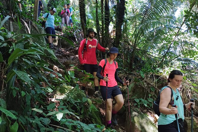 Small Group Hike to Saco Bravo Waterfall - Atlantic Forest Trail Reality, Distance, Time, and Pace