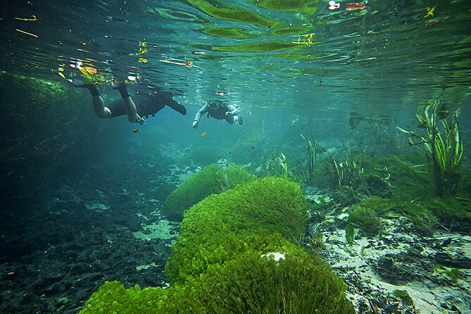 Snorkel in the Sucuri River - Rio Sucuri Float Highlights You Will Feel Immediately