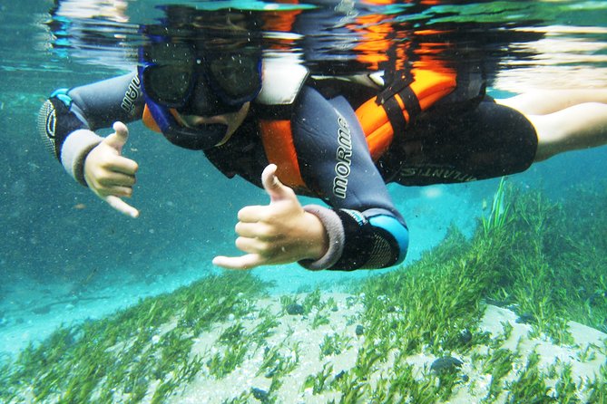 Snorkel in the Sucuri River - From Hotel Pickup to Hacienda São Geraldo by Boat