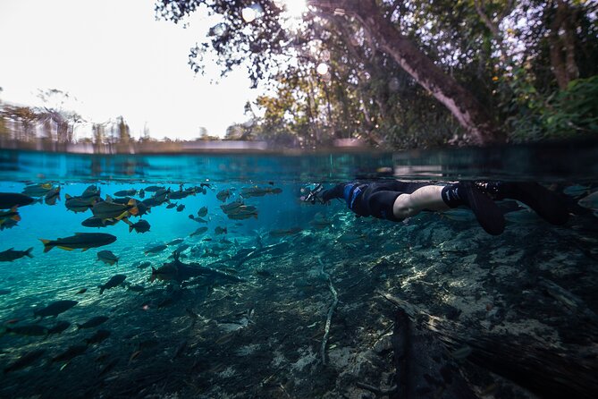Snorkel in the Sucuri River - Snorkeling Setup That Actually Helps: Suit, Mask, and Real Comfort
