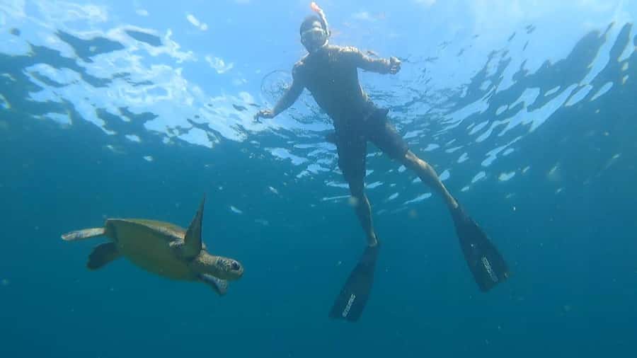 Snorkeling with turtles in their natural habitat - Private speedboat legs: how the day actually moves