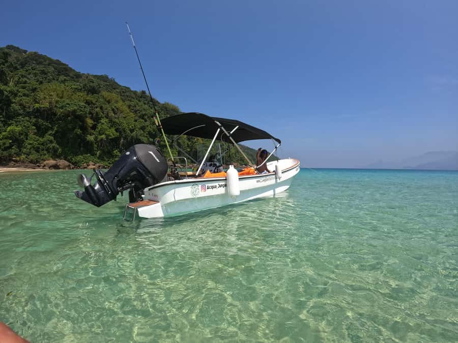 Snorkeling with turtles in their natural habitat - Lagoa Azul and the turtle-focused snorkeling block