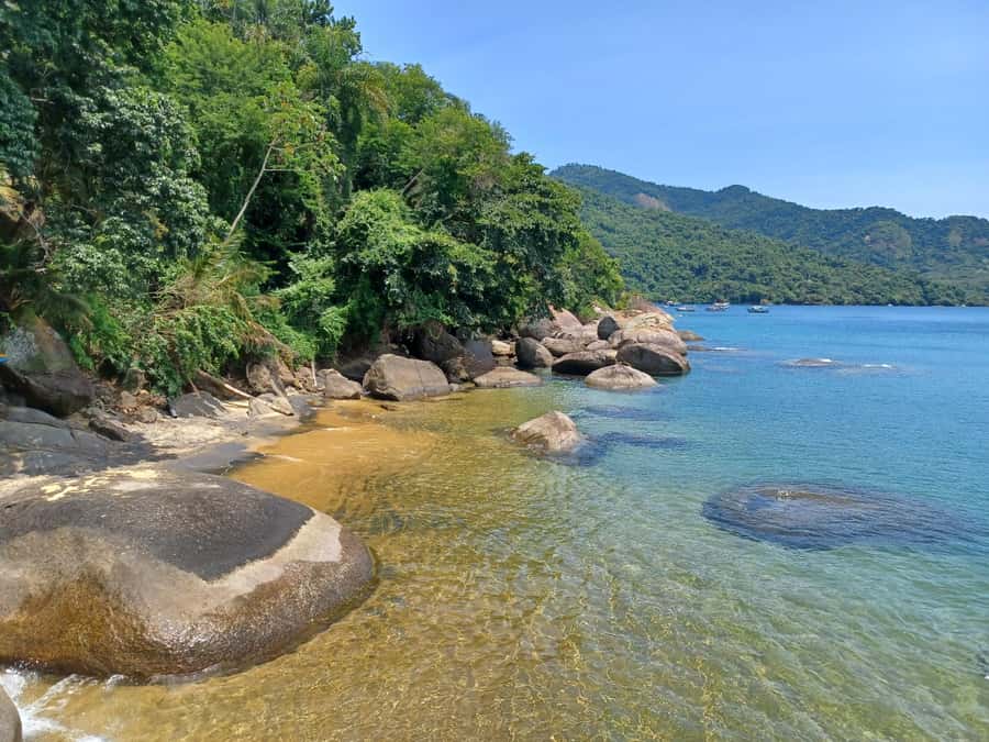 Snorkeling with turtles in their natural habitat - Lunch at Saco de Céu: sand-in-your-shoes Brazilian food