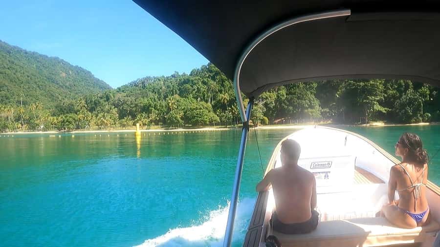 Snorkeling with turtles in their natural habitat - What’s included in the water: gear, drinks, fruits, and the guide