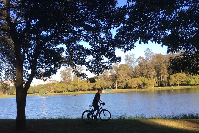 Street Art and Park Bike Tour - Parque Ibirapuera: the calm reset before the murals