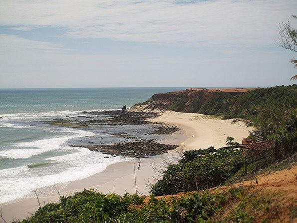 Sun and Fun at Pipa Beach: Day Tour from Natal - Key Highlights You Should Know