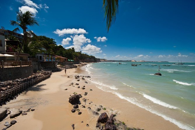 Sun and Fun at Pipa Beach: Day Tour from Natal - Natal Pickup and the Ride Along Brazil’s Long Highway