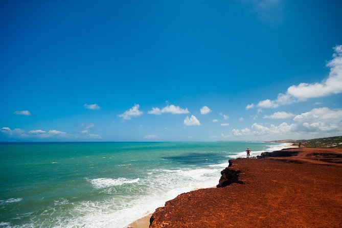 Sun and Fun at Pipa Beach: Day Tour from Natal - Pipa Beach Village: Handicrafts, Colorful Alleys, and Meal Options