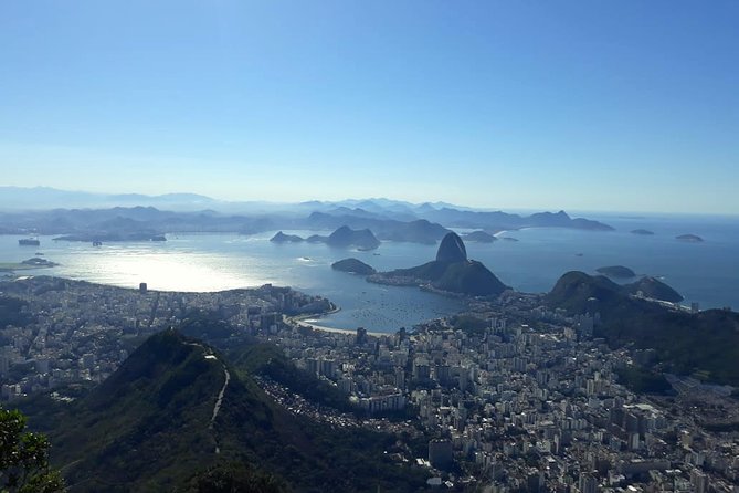 The Best of Rio de Janeiro in a Private Guided Tour - A custom Rio plan that actually respects your time