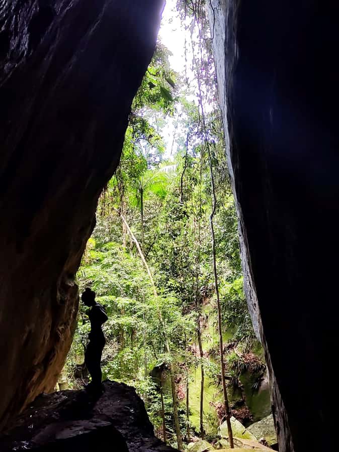 Tijuca Forest´s hike: caves, waterfalls and great views - Price and value: why $40 can make sense here