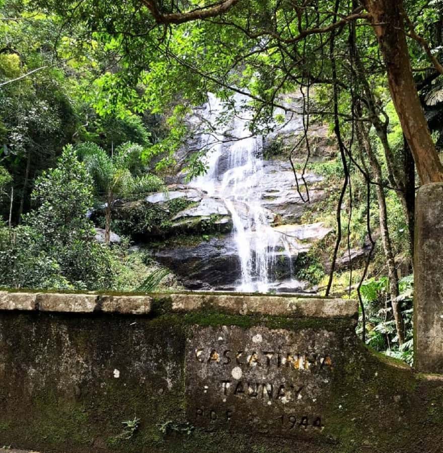Tijuca Forest´s hike: caves, waterfalls and great views - Into Tijuca Forest, Rio’s giant urban rainforest