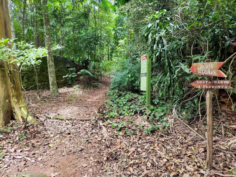 Tijuca Forest´s hike: caves, waterfalls and great views - Rock formations, crystalline streams, and animal moments