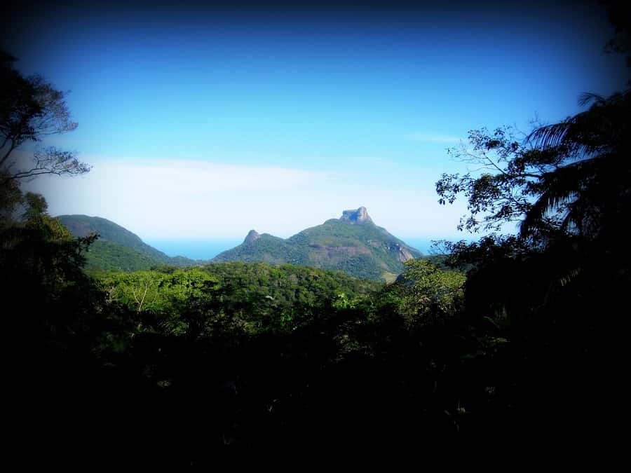 Tijuca Forest´s hike: caves, waterfalls and great views - Getting the views you earn, without rushing the trail