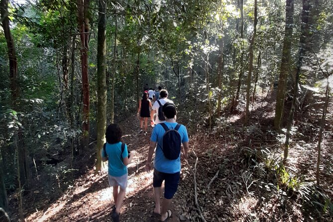 Tijuca National Park and all its wonders - Tijuca National Park, Rio’s built-in escape