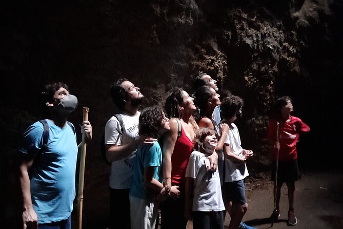 Tijuca National Park and all its wonders - Guides who mix rainforest facts with practical trail sense