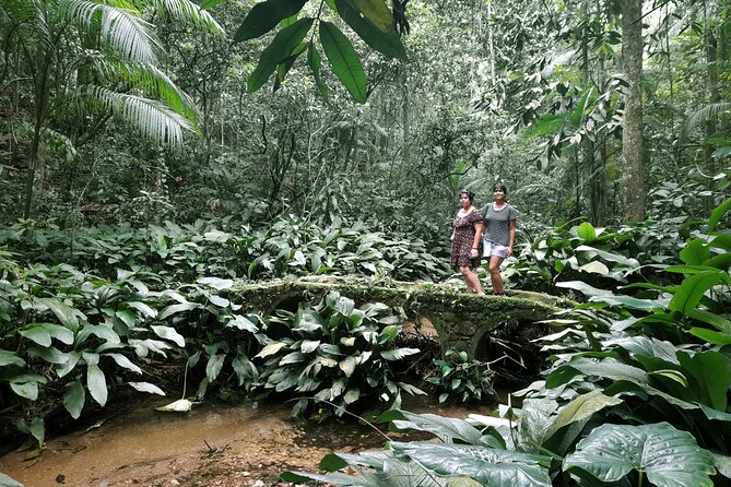Tijuca National Park and all its wonders - Price and value: what you get for $68.67