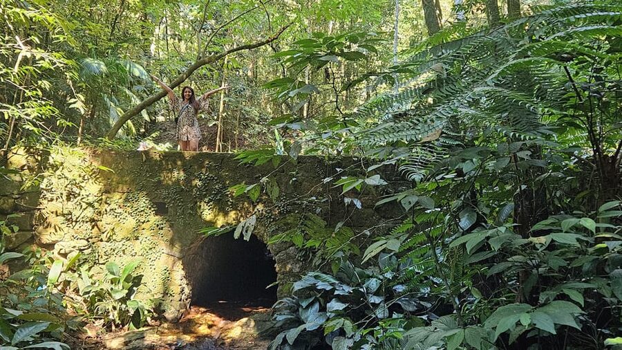 Tijuca National Park and all its wonders! - Why a certified guide is part of the value (and not just a perk)