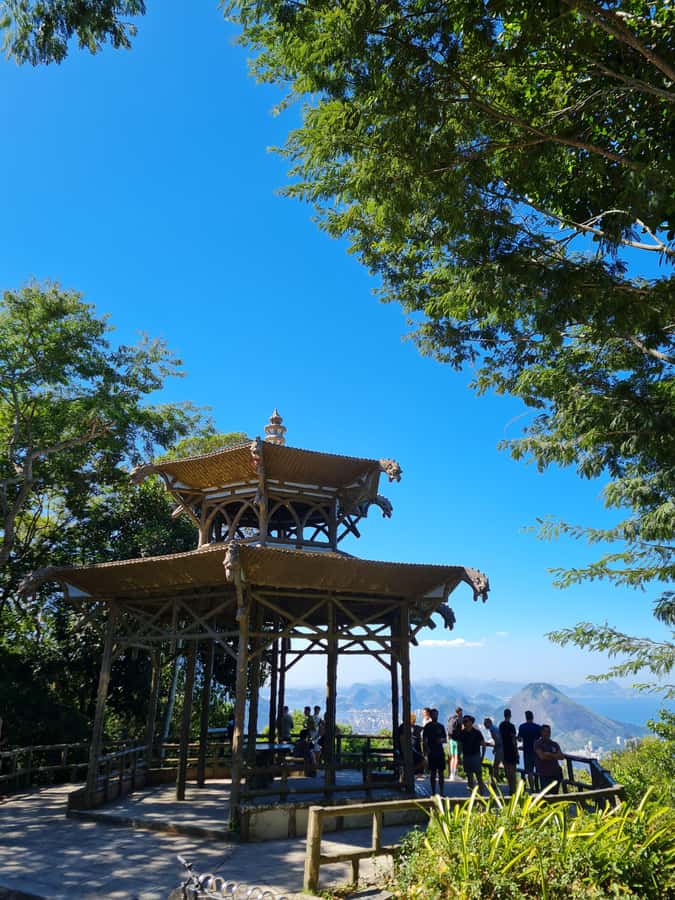 Tijuca Rain Forest - Adventure through Waterfalls & Caves - Taunay Waterfall and Park History: The Tall First Big Moment