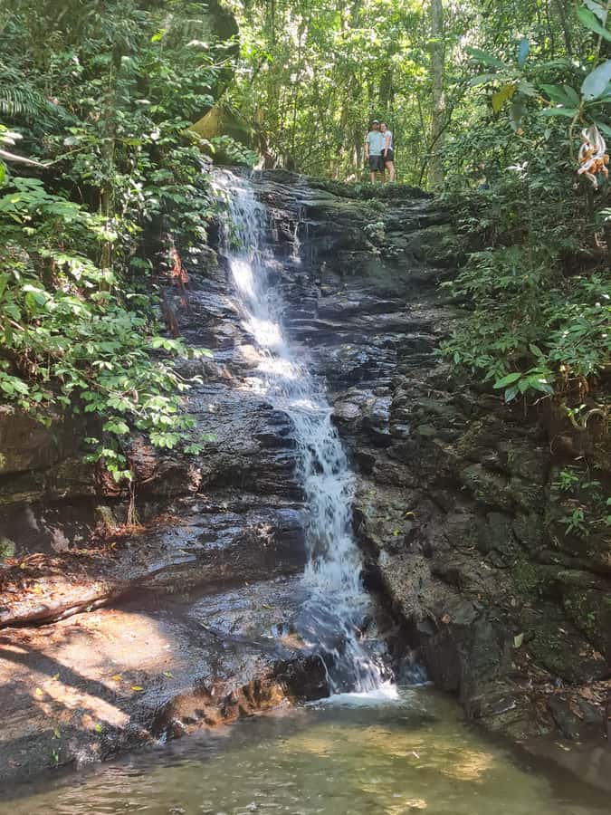 Tijuca Rain Forest - Adventure through Waterfalls & Caves - Baronesa Waterfall: The Refreshing Finish With Shower Time