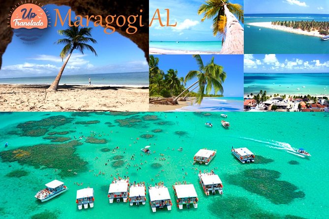 Tour To Maragogi AL - Key highlights at a glance