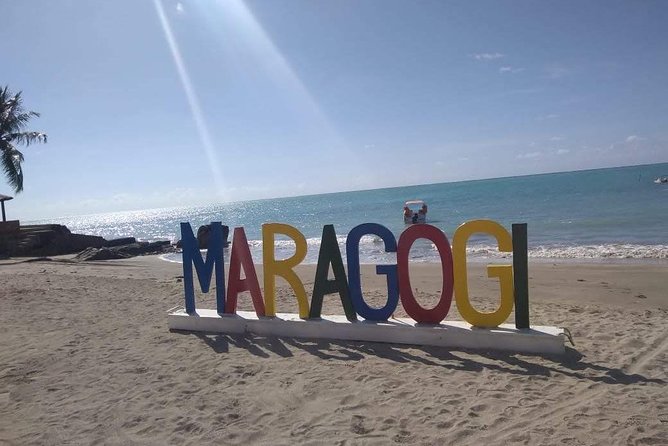 Tour To Maragogi AL - Maragogi calm-water magic, starting at 8:00 am from Porto de Galinhas