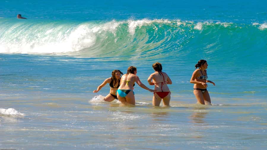 Trindade Day Trip: Nature and Sea Adventure from Paraty - Key points worth knowing before you go