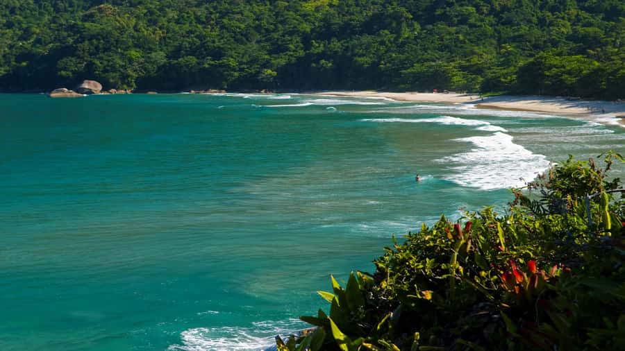 Trindade Day Trip: Nature and Sea Adventure from Paraty - Meio Beach jungle walk (about 25 minutes) through Mata Atlantica