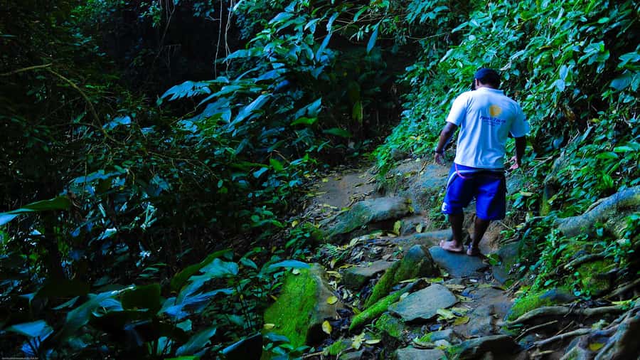 Trindade Day Trip: Nature and Sea Adventure from Paraty - Meeting point and the 6-hour rhythm from Paraty