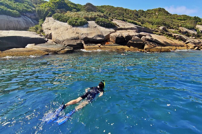 Turtle Snorkeling by Adrenailha - Xavier Island marine refuge: the reef that makes the tour work