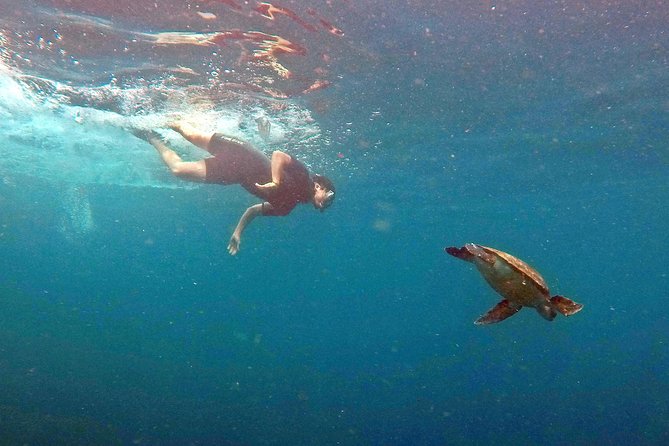 Turtle Snorkeling by Adrenailha - Snorkeling setup: neoprene suit, snorkel, flippers, and floats if you cannot swim