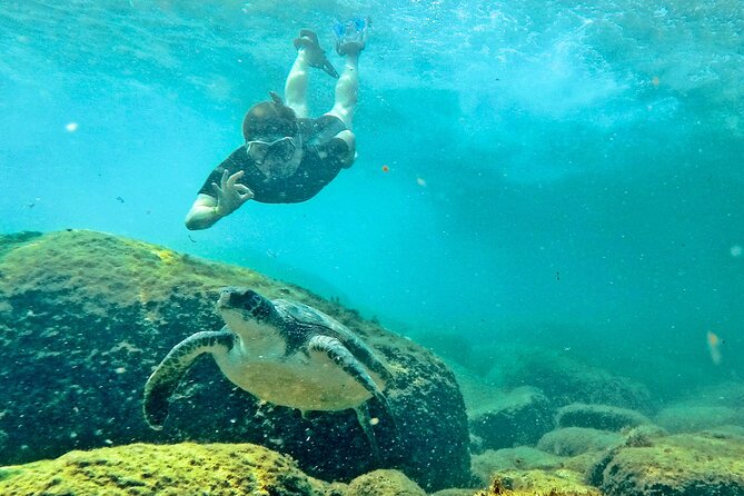 Turtle Snorkeling by Adrenailha - Getting there and back: Barra da Lagoa to the island in about 20 minutes