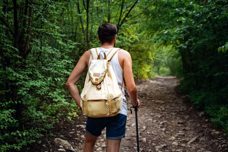 Walk to the Big Rock in Cantareira State Park - How your day runs, step by step, from pickup to lookout