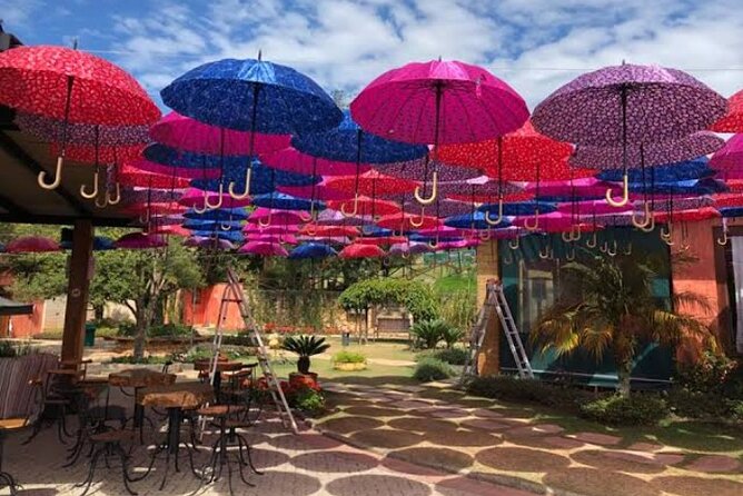 Wine Tour in São Roque by Car, Tour with Local Guides - What a private, by-car tour really changes