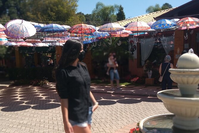Wine Tour in São Roque by Car, Tour with Local Guides - Wine tastings guided by your preferences